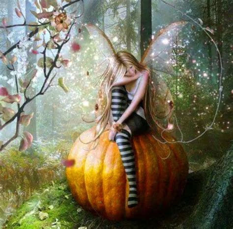 Pumpkin Fairy NetBet